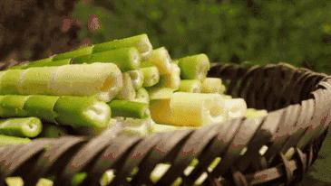 味道|到丰顺探寻“潮客”文化里有讲究的美味