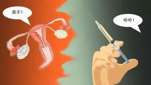 20岁女大学生捐卵事件18年,女大学生捐卵致富