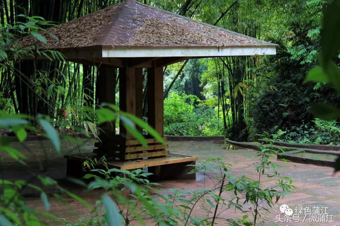 朝阳湖风景名胜区,朝阳湖美景视频