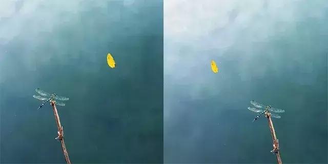 摄影怎么构图10大构图法,简单却实用的摄影技巧