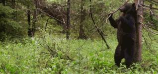 假期一定要给孩子看的20部纪录片,12部适合和孩子一起看的纪录片