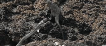 假期一定要给孩子看的20部纪录片,12部适合和孩子一起看的纪录片