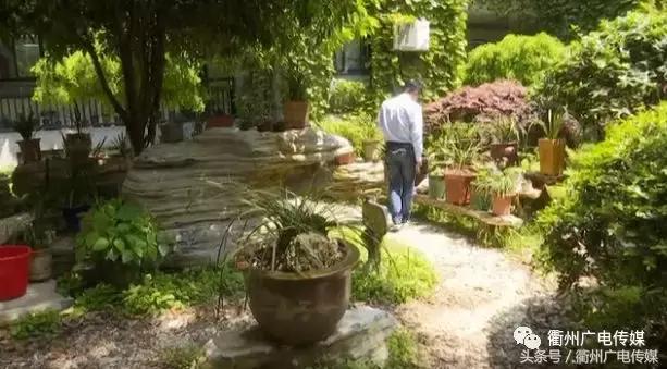 浙江衢州全国百强中学,多次获得国家级和省部级奖项