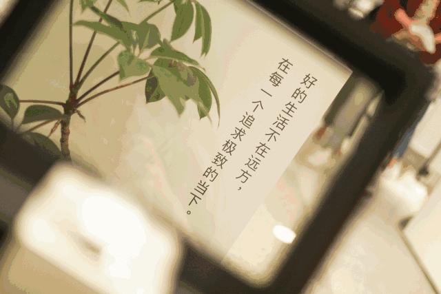 网易考拉实体店在哪,网易考拉什么时候开业