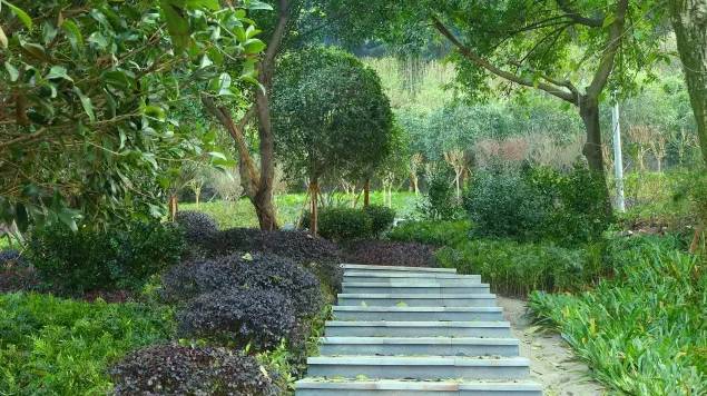 重庆旅游避开网红景点,重庆网红景点轻轨攻略