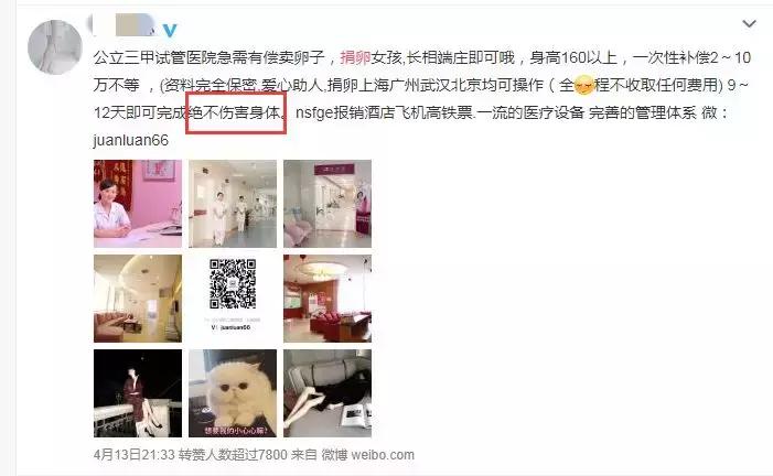 20岁女大学生捐卵,女大学生捐卵案