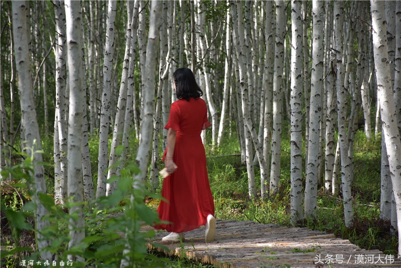 人生那么长停一下又何妨电子书,人生那么长停下又何妨