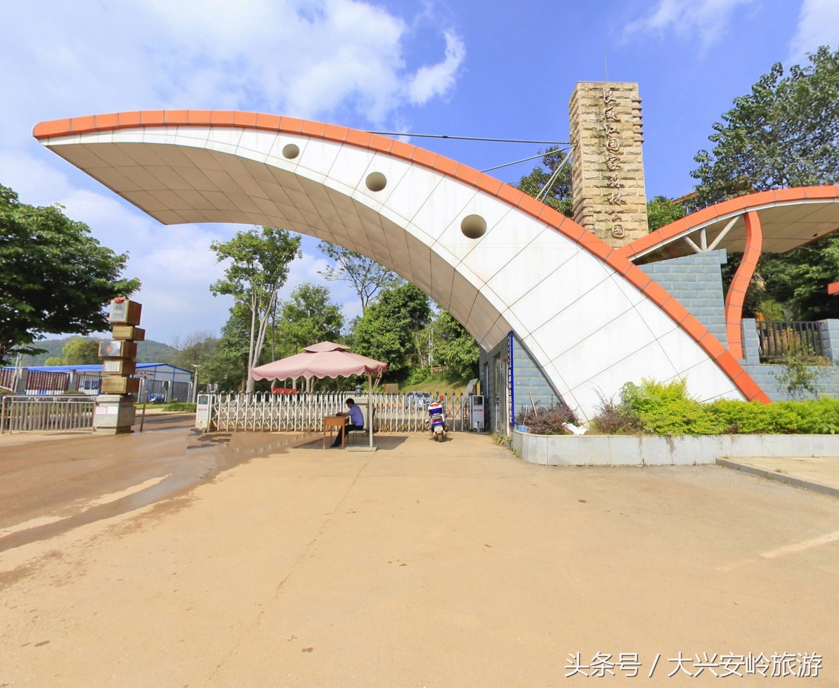 南宁良凤江国家森林公园菩提树,南宁青秀山风景区天然氧吧