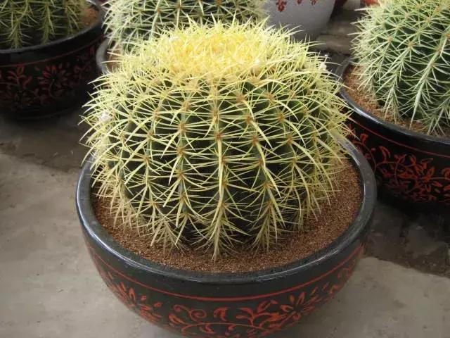 <html>
<head><title>502BadGateway</title></head>
<body>
<center><h1>502BadGateway</h1></center>
<hr><center>nginx</center>
</body>
</html>
<!--apaddingtodisableMSIEandChromefriendlyerrorpage-->
<!--apaddingtodisableMSIEandChromefriendlyerrorpage-->
<!--apaddingtodisableMSIEandChromefriendlyerrorpage-->
<!--apaddingtodisableMSIEandChromefriendlyerrorpage-->
<!--apaddingtodisableMSIEandChromefriendlyerrorpage-->
<!--apaddingtodisableMSIEandChromefriendlyerrorpage-->
