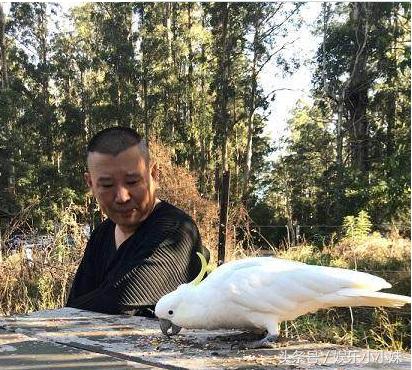 郭德纲微博悼念哪位相声名家,郭德纲悼念的相声演员