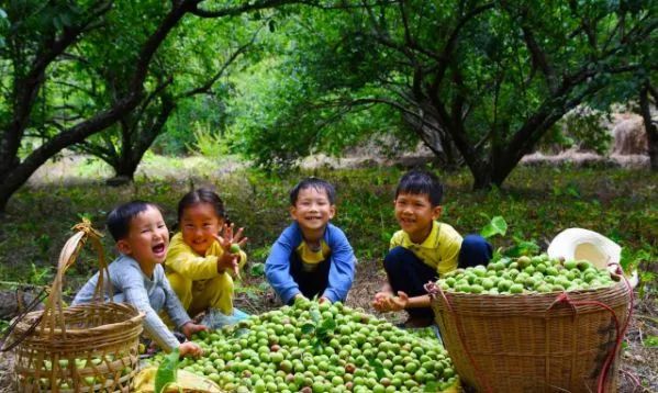 五一朝天旅游,踏青出游五一小长假怎么玩