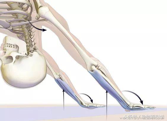 下犬式瑜伽怎么练,怎么做好瑜伽下犬式