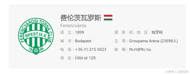 足球法国对匈牙利,匈牙利足球打法