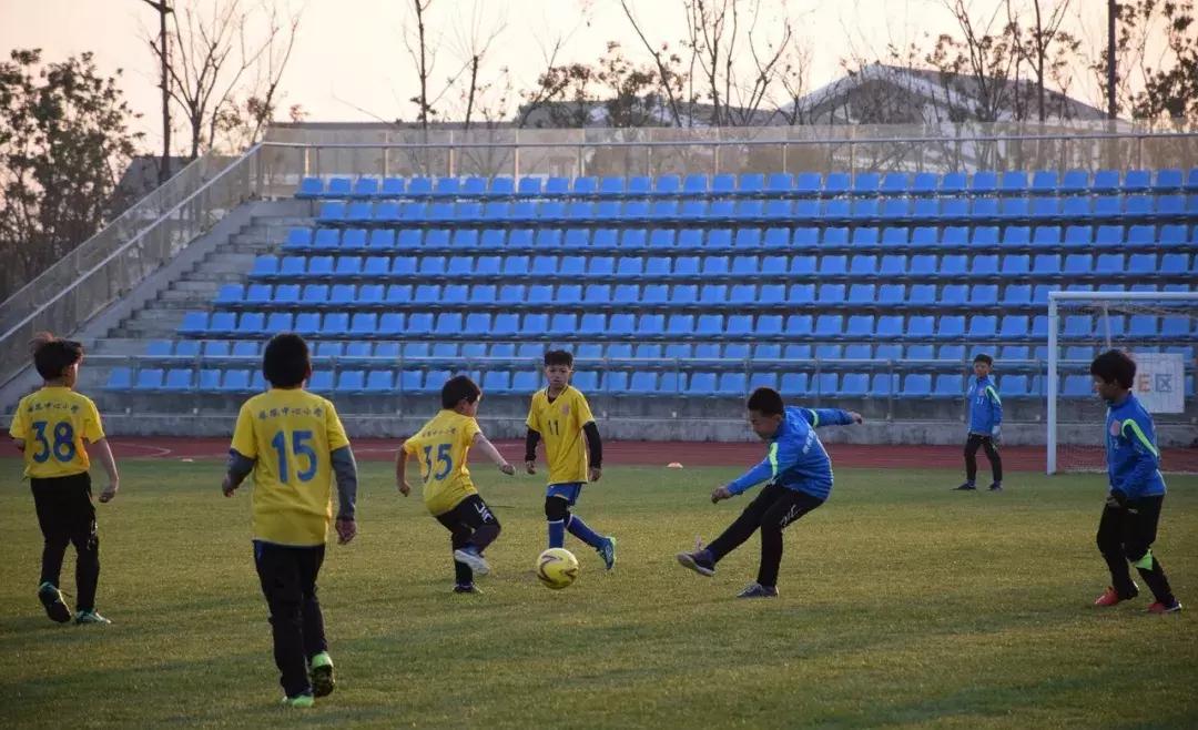 张家港城市发展成就,张家港市区有发展前景吗