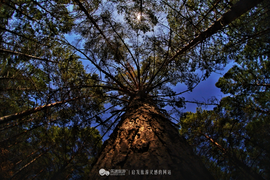 朴树冷门却很好听的歌,朴树适合西藏的歌