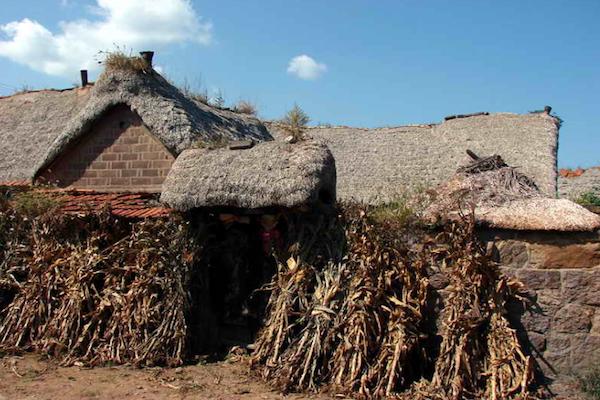 农村海草房建造视频,特色民居海草房冬暖夏凉