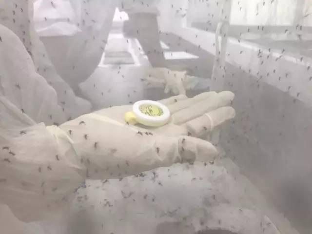 驱蚊产品大评测,老爸评测驱蚊电蚊香液