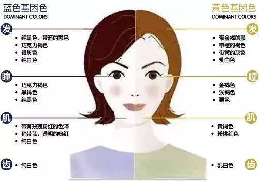 相见恨晚的色彩搭配,两种好看的颜色搭配