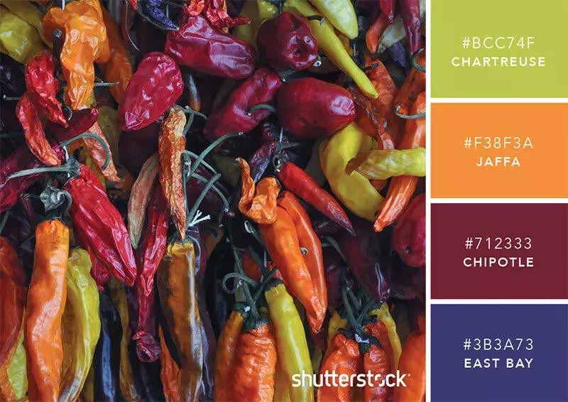 你知道彩虹是什么颜色吗,你知道彩虹的颜色吗英语翻译