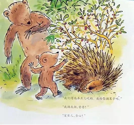 小熊和最好的爸爸长大了读后感,小熊和最好的爸爸一起长大了