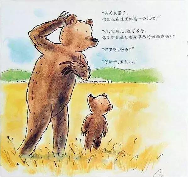 小熊和最好的爸爸长大了读后感,小熊和最好的爸爸一起长大了