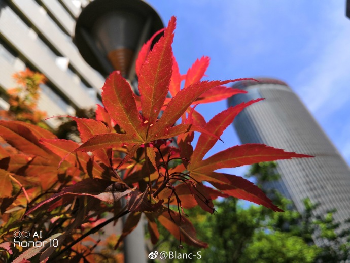 极光色后盖+2400万前后AI双摄，售价2599起；网友：价格很皮！