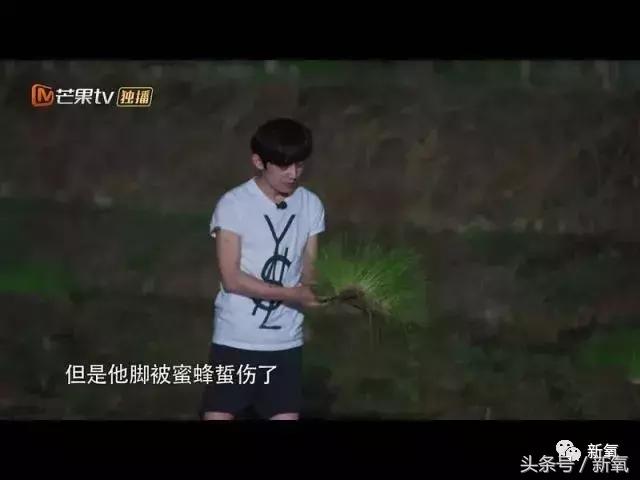 吐槽张杰土味视频,张杰吐槽土味视频