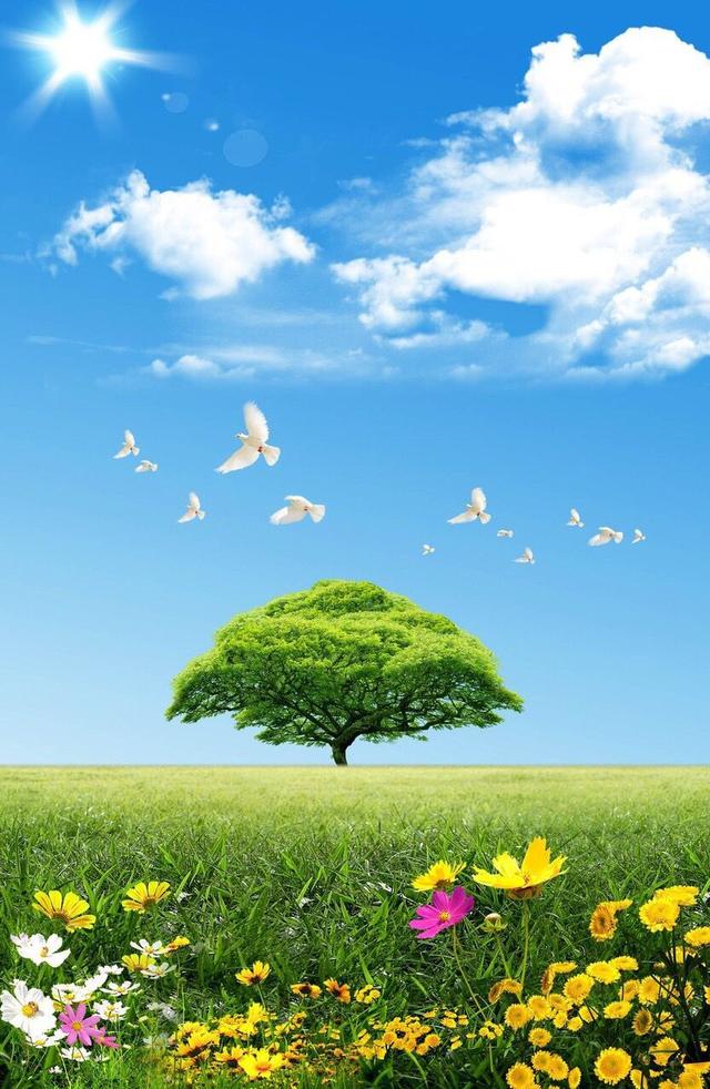 塞尔达传说旷野之息精美手机壁纸,王鸥精美手机壁纸