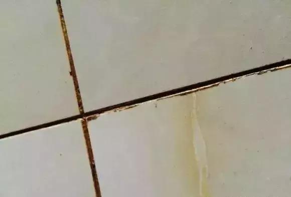 怎样才能把瓷砖的污渍清干净,刚刚铺好的瓷砖怎么去除水渍