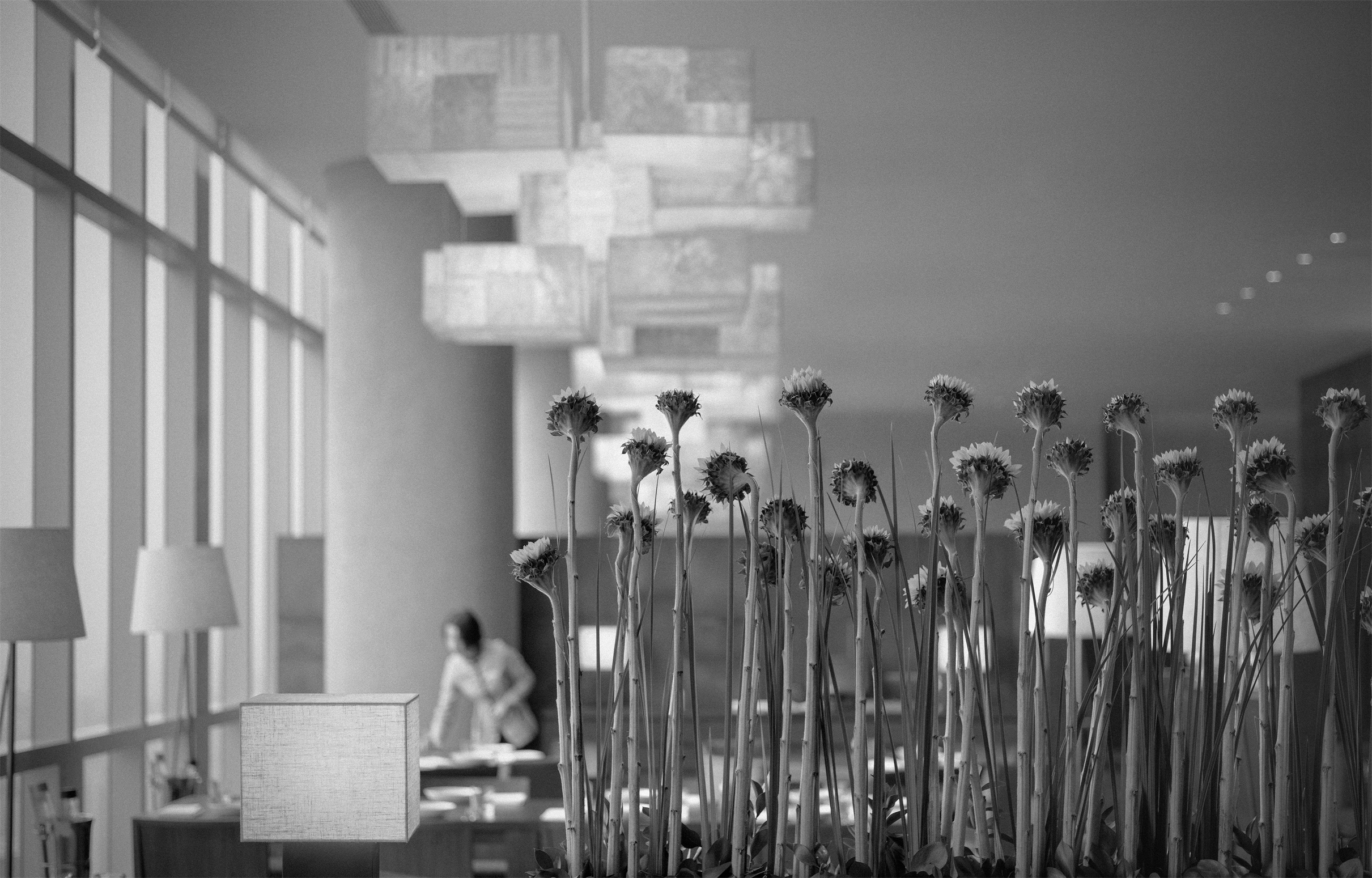 广州柏悦酒店,广州柏悦酒店自助餐