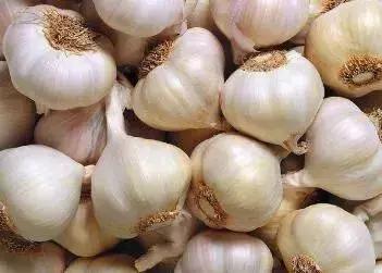 湖北蔬菜都有哪些品种,湖北种植特色菜有哪些