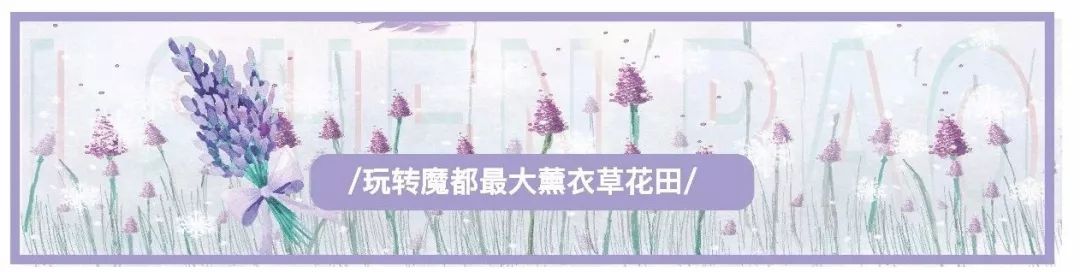 林允、杨超越……看他们父母的长相，不得不感慨遗传变异！