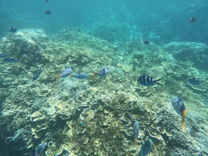 帕劳的海景风光给人美的享受,帕劳的海洋和沙滩风景图片