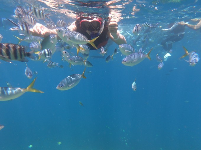帕劳的海景风光给人美的享受,帕劳的海洋和沙滩风景图片