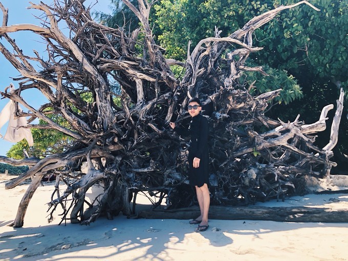 帕劳的海景风光给人美的享受,帕劳的海洋和沙滩风景图片