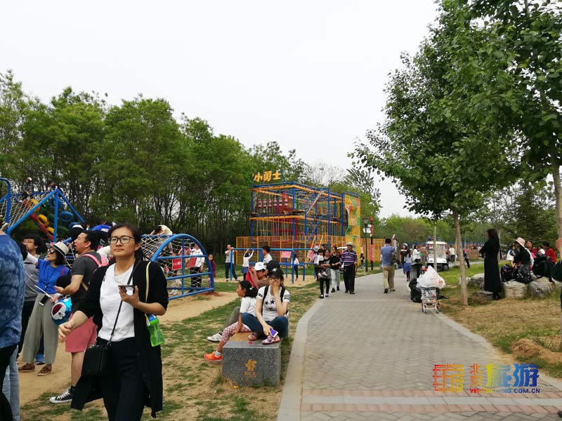 北京国际鲜花港游玩指南来啦！郁金香争奇斗艳，音乐喷泉令人震撼，云雾仙境如梦似幻！