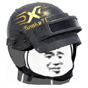 绝地求生APL：韩国人又下黑手！SNAKETC因签证问题被迫异地参赛！