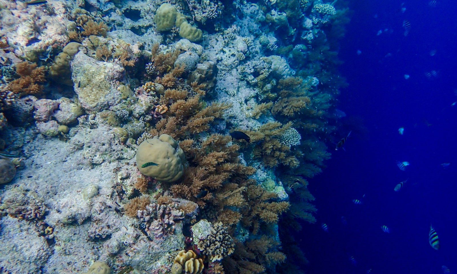 300元一天免签的国家,去哪个国家比较简单不用花钱