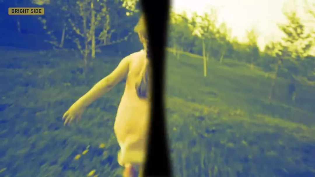 动物眼中的世界是什么样子的图片,动物眼里的世界长怎样