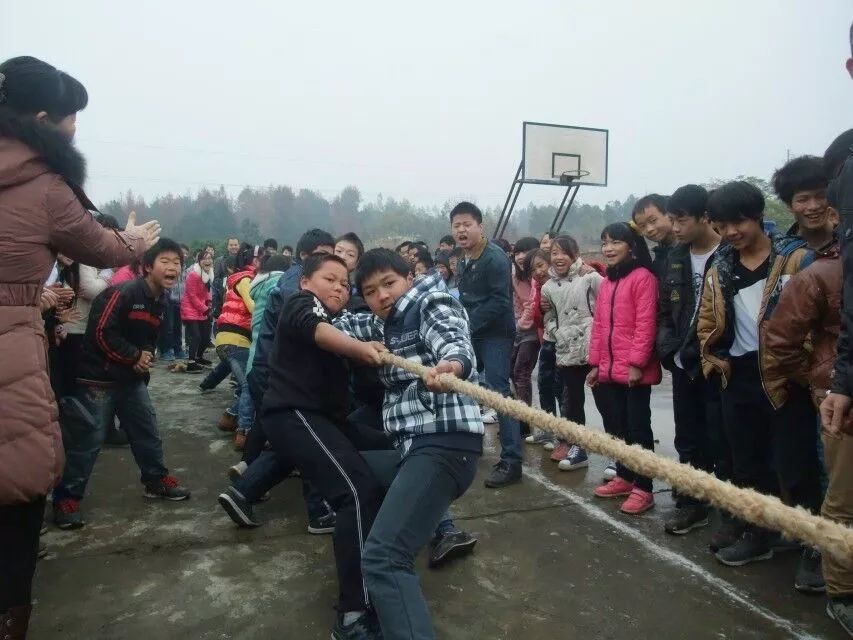 苏幕延：那些年，我上过的语文课