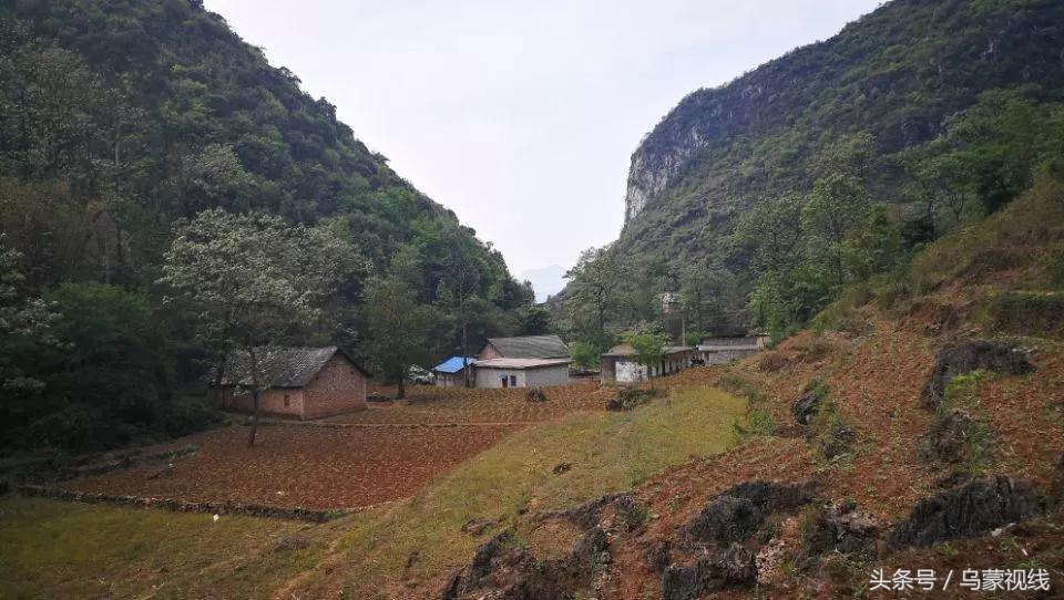 沈家村是什么样的,解码传统村落