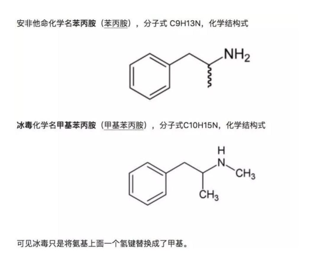被减肥毁掉的中国女孩,被增肥的女孩