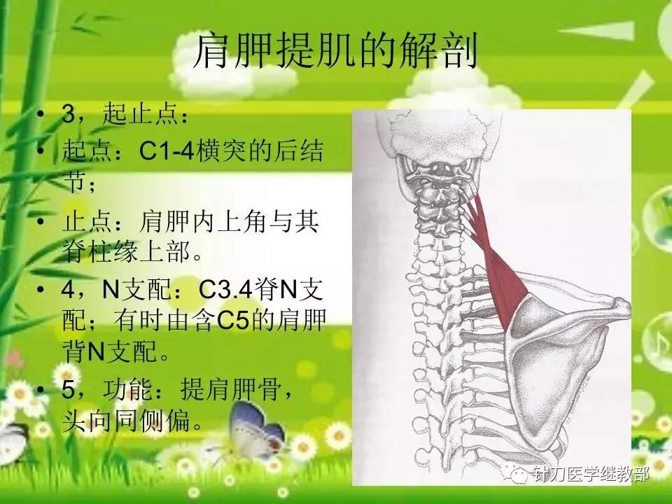 颈椎肌肉损伤用小针刀治疗,针刀治疗颈椎导致神经损伤