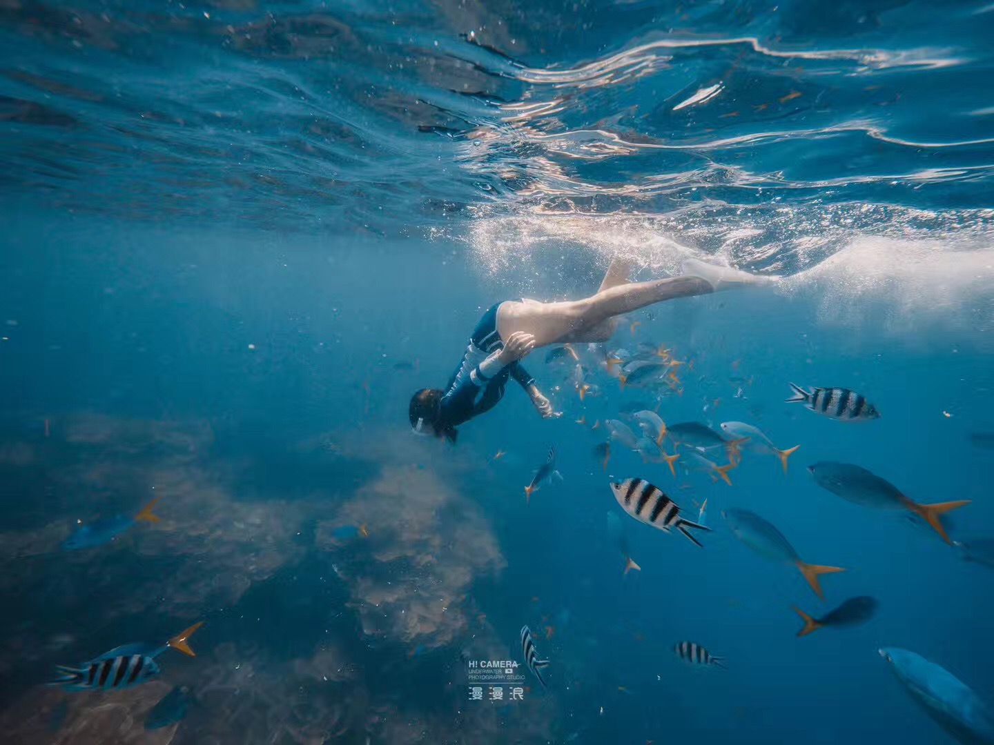 帕劳可以潜水吗,去帕劳玩是什么感觉