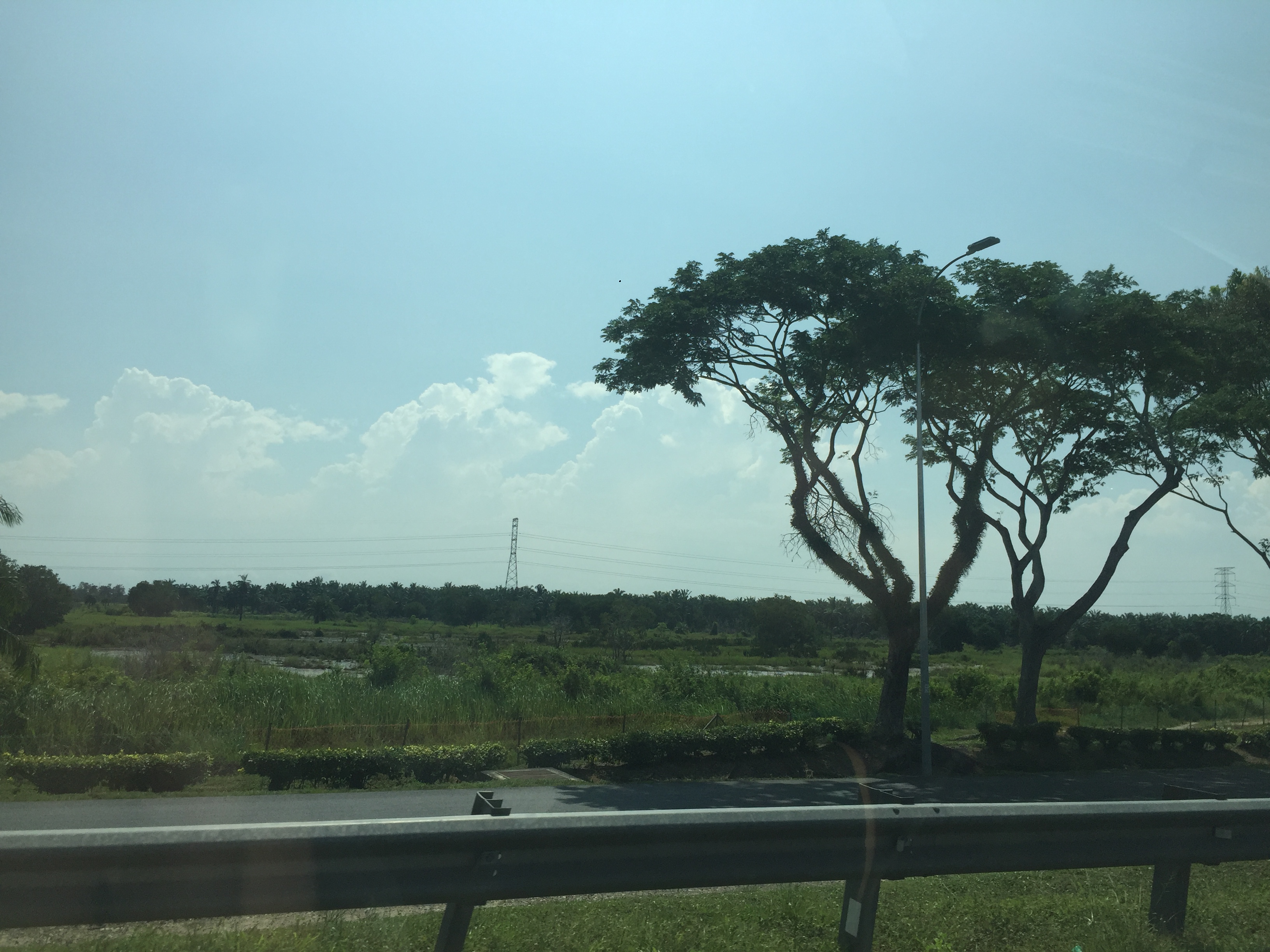 过背金龙是什么意思,过背金龙和高背金龙的区别