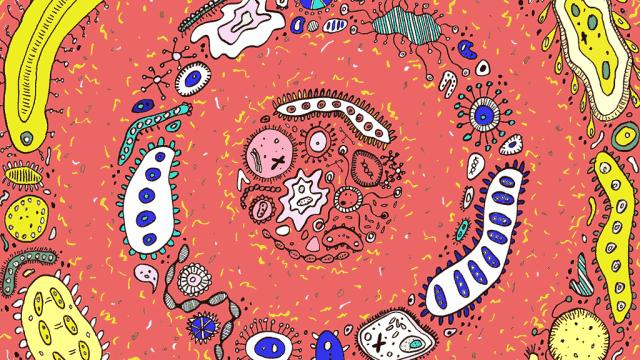 利用秸秆栽培食用菌,枯草芽孢杆菌发酵猪粪技术