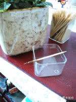 阳台盆栽香料,在家种什么香料好吃又实惠