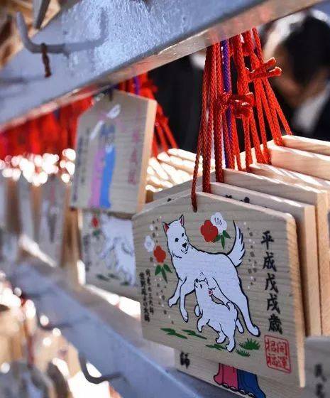 不会英语出国可以学会吗,不会英语出国要从哪学起