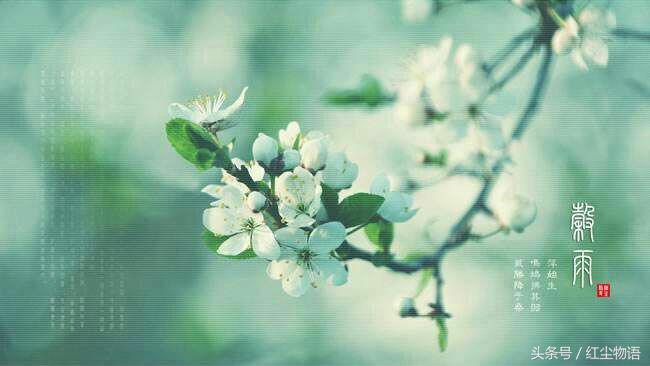 走在暮春,风还是香甜