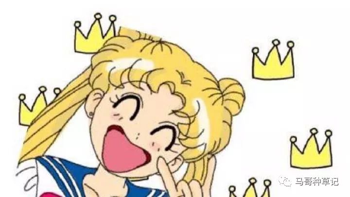 不脱妆不暗沉的粉饼,24小时不脱妆不卡粉的粉饼